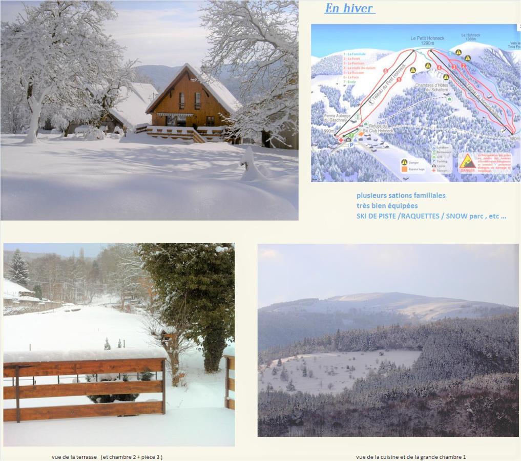 Chalet La Grange De Madi Muhlbach-sur-Munster Екстер'єр фото