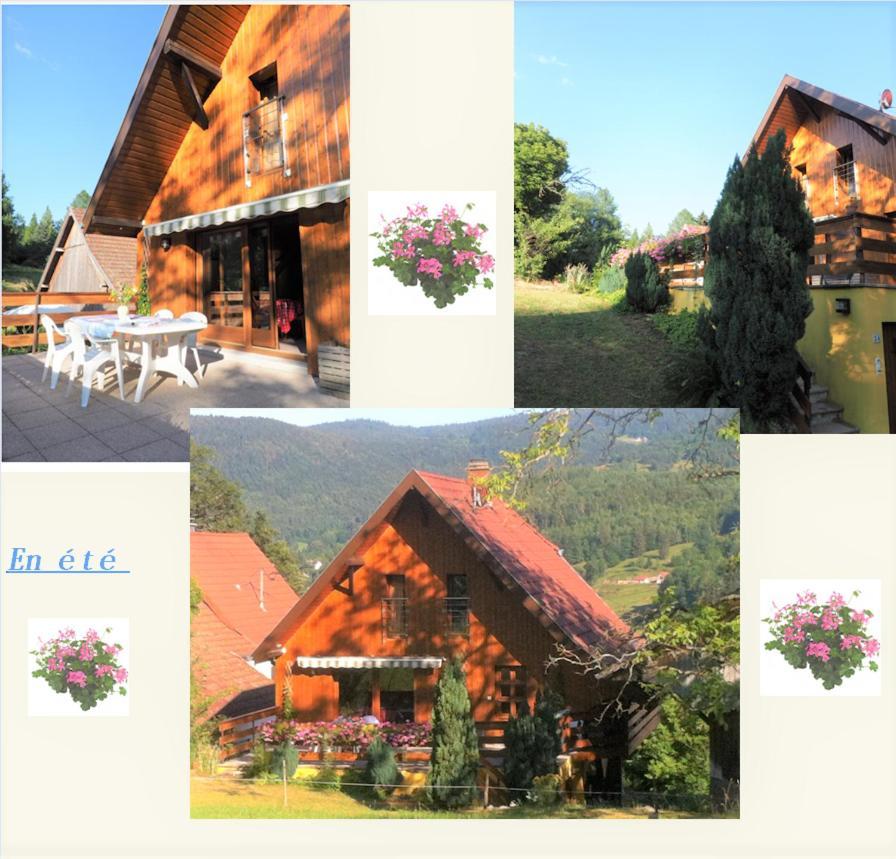 Chalet La Grange De Madi Muhlbach-sur-Munster Екстер'єр фото